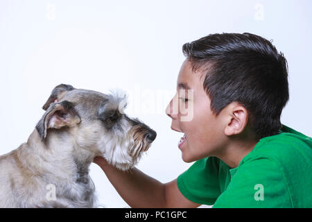 A boy and a Miniature Schnauzer share some bonding time together in this studio photo. Stock Photo