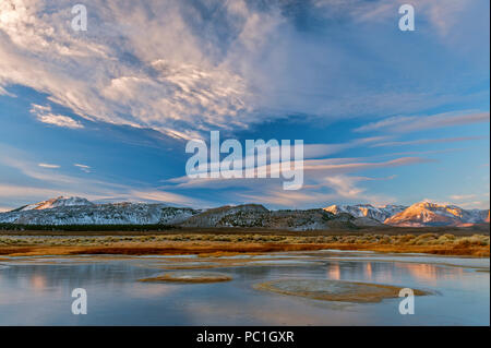 Sunrise, Wetlands, Mono Basin National Forest Scenic Area, Inyo National Forest, Eastern Sierra, California Stock Photo