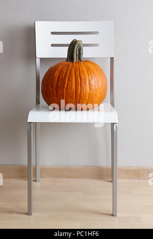 Large orange pumpkin on a white modern chair on gray wall background, autumn and halloween home decor Stock Photo