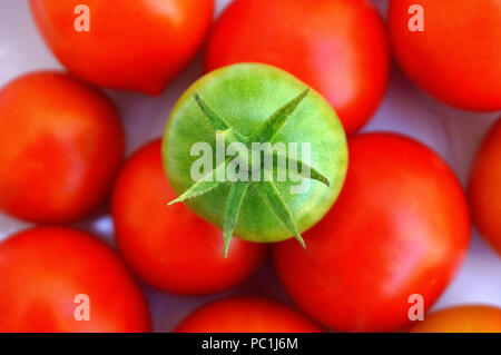 Red ripe tomatoes with one green cherry tomatoes on a top, flat lay. Growing vegetables and agricultural background Stock Photo