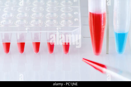 Science and molecular biology background with text space. Plastic tube with blue DNA sample and red tubes with PCR reaction mixture. Stock Photo