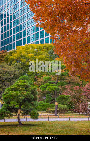 Hamarikyu (also Hama Rikyu) Oldest Japanse Garden and modern skyscrapers of Shiodome Area, Chuo Ward, Tokyo, Kanto Region, Honshu Island, Japan Stock Photo
