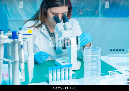 petri dish in the laboratory microscope Stock Photo
