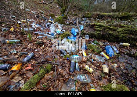 Forrest woods with Garscadden Burn in the deprived housing  scheme of drumchapel a litter magnet and vandalism centre for the local neds Stock Photo