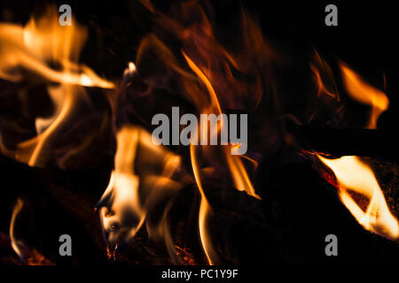 Fire flames close-up on a dark background Stock Photo