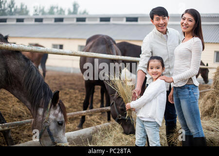 Young Chinese family feeding horse Stock Photo