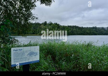 Tilapia pest fish sign, Lake Barrine Crater Lakes National Park, Atherton Tablelands, QLD, Australia Stock Photo