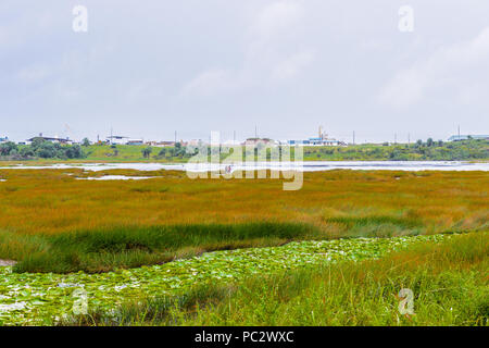 View of the Pitch Lake, the largest natural deposit of asphalt in the world, La Brea, Trinidad and Tobago. Stock Photo