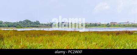 View of the Pitch Lake, the largest natural deposit of asphalt in the world, La Brea, Trinidad and Tobago. Stock Photo