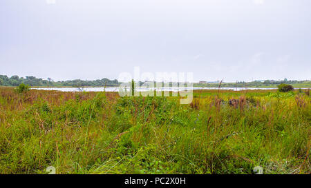 View of the Pitch Lake, the largest natural deposit of asphalt in the world, La Brea, Trinidad and Tobago. Stock Photo