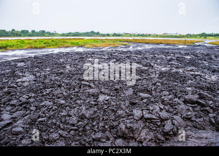 Pitch Lake, the largest natural deposit of asphalt in the world, La Brea, Trinidad and Tobago. It is reported to be 75 m deep. Stock Photo