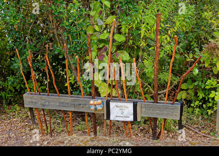 Walking sticks for sale on the Queen Charlotte track, New Zealand Stock Photo