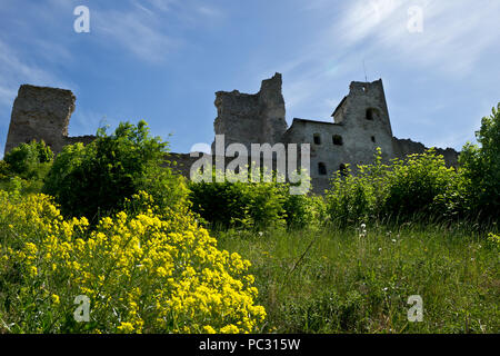 Medieval castle ruins in Rakvere, Estonia Stock Photo