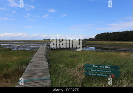 Wooden walkway across Peffer Burn at Aberlady Bay Nature Reserve East Lothian Scotland  July 2018 Stock Photo