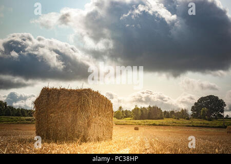 A close-up of the a wheat straw bale taken of the corner with the glow of the morning sun coming through large, dark clouds. Stock Photo