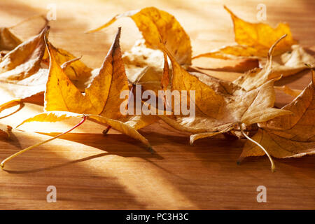 Autumn leaves on a wooden background Stock Photo
