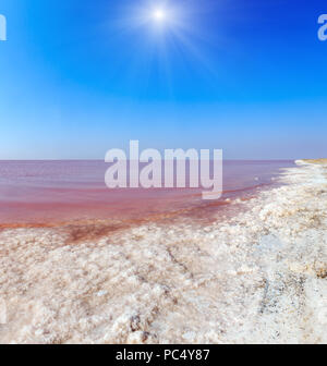 Sunshiny pink extremely salty Syvash Lake, colored by microalgae with crystalline salt depositions. Also known as the Putrid Sea or Rotten Sea. Ukrain Stock Photo