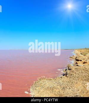 Sunshiny pink extremely salty Syvash Lake, colored by microalgae with crystalline salt depositions. Also known as the Putrid Sea or Rotten Sea. Ukrain Stock Photo