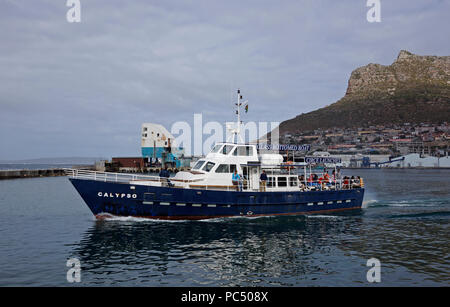 Tourists going for a cruise to Seal Island from Hout Bay harbour near Cape Town, South Africa. Stock Photo