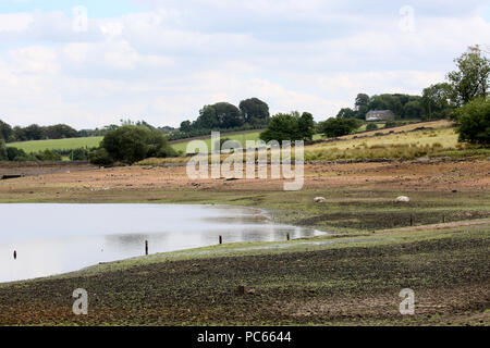 Colne, UK. 31st July 2018. Foulridge reservoir is at it's lowest for years after a long spell of dry weather. Recent rainfall has had little impact on water levels and from the 1st August a stretch of the Leeds to Liverpool canal will be shut until water levels improve, Colne, 31st July, 2018 (C)Barbara Cook/Alamy Live News Stock Photo