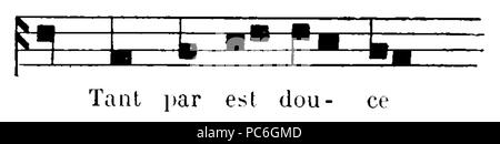 44 HLLF-T1-d252 Portée-1 Stock Photo