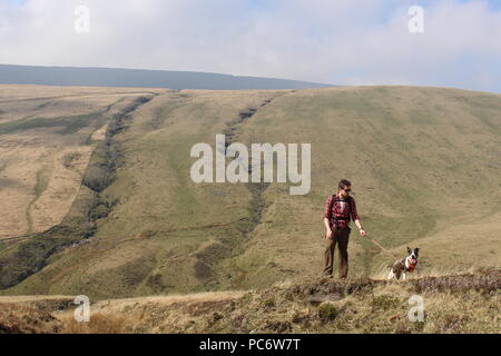 Hike in the mountains with a dog in Brecon Beacons, Wales Stock Photo