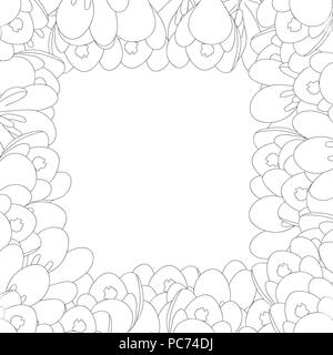 White Crocus Flower Outline Border. Vector Illustration. Stock Vector