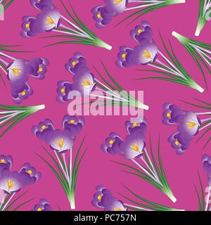 Purple Crocus Flower on Pink Background. Vector Illustration. Stock Vector