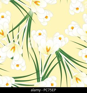 White Crocus Flower on Beige Ivory Background. Vector Illustration. Stock Vector