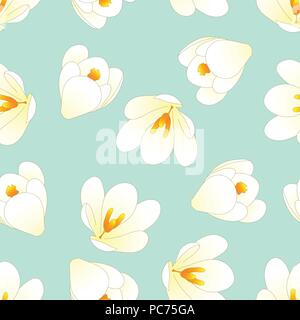 White Crocus Flower on Green Mint Background. Vector Illustration. Stock Vector