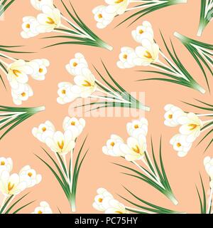 White Crocus Flower on Light Orange Background. Vector Illustration. Stock Vector