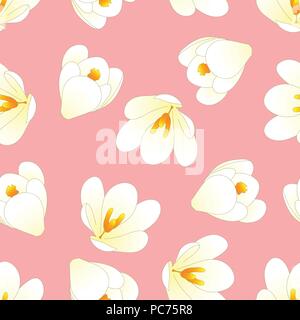 White Crocus Flower on Light Pink Background. Vector Illustration. Stock Vector