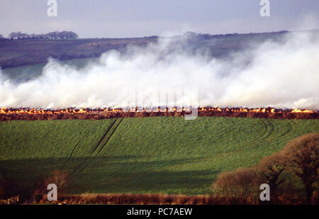 carcass burning foot and mouth disease 2001 Stock Photo