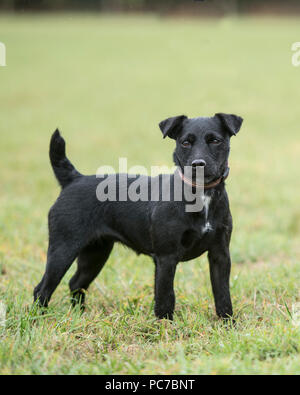 patterdale Stock Photo