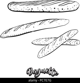 Hand drawn sketch of Baguette food. Vector drawing of Yeast bread food, usually known in France. Bread illustration series. Stock Vector