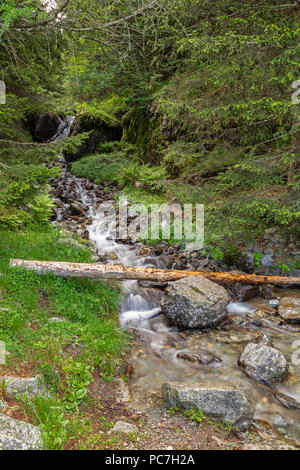 Small waterfall on the Taser mountain trail above Schenna near Meran, South Tyrol Stock Photo