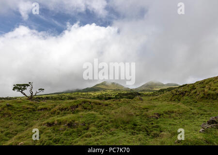 Landscape with small volcanoes cones in Terra Alta, Pico island, Azores, Portugal Stock Photo