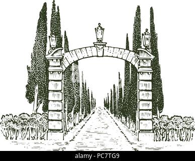 Vintage gates. Victorian doors or an ancient arch. Entrance to the garden or the park in the background of trees. Engraved hand drawn old sketch. Vector illustration Stock Vector
