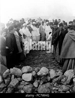 Samaritans around meat being cooked over open fire, Mount Gerizim, West Bank. Feast of the Passover 1880-1922 Stock Photo