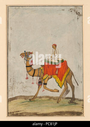 19 A camel with its rider playing kettle drums. Stock Photo