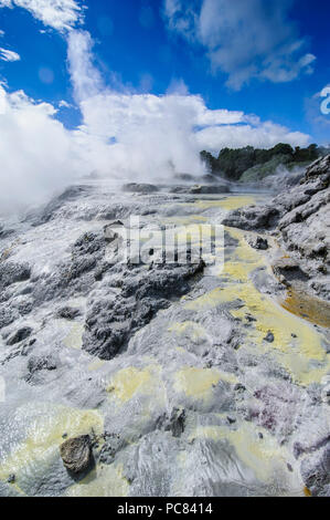 Geysirfield in the Te Puia Maori Cultural Center, Roturura, North Island, New Zealand Stock Photo