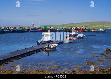 Fish farming workboats in the harbour of Uyeasound on the Isle of Unst, Shetland Islands, Scotland, UK Stock Photo