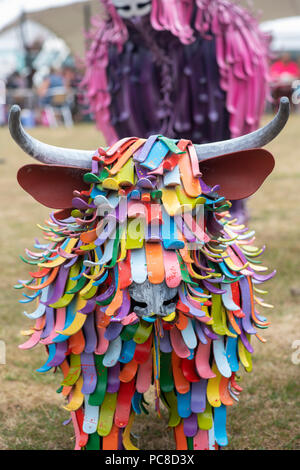 Colourful highland cow calf sculpture at RHS Tatton park flower show 2018, Cheshire, UK. Art Sculpture by ArtFe Stock Photo