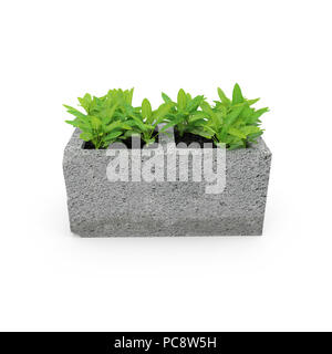 urban cinder block planter