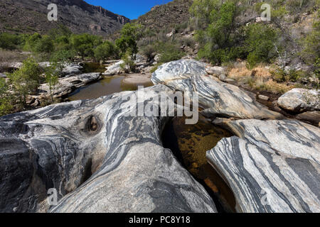 River Polished Gneiss & Riparian Pool, Sabino Canyon, AZ Stock Photo