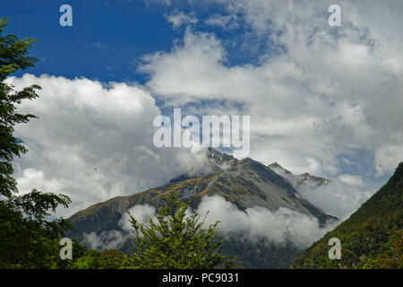 The views in the Sabine valley on the route up to Blue Lake, Nelson Lakes National Park, New Zealand Stock Photo