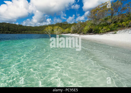 Famous Lake McKenzie on Fraser Island. Stock Photo