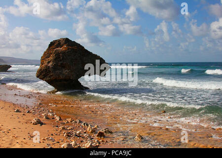 Coral reef boulders on the beach at Bathsheba, Barbados Stock Photo