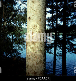 Initials carved into a tree trunk Stock Photo