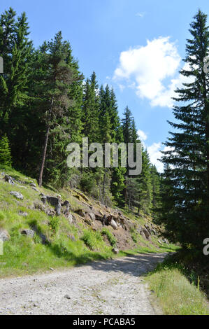 Western Rhodopes In the Forest, Western Rhodopes Mountains, Bulgaria Stock Photo - Alamy